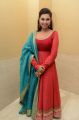 Bollywood Actress Lisa Ray in Red Dress Photos