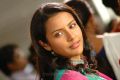 Actress Priya Anand in Live Telugu Movie Stills