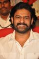 Actor Prabhas @ Loafer Movie Audio Launch Stills