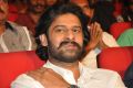 Prabhas @ Loafer Movie Audio Launch Stills