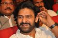 Prabhas @ Loafer Movie Audio Launch Stills