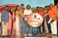 Loafer Movie Audio Release Function Photos