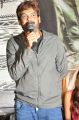 Loafer Movie Success Meet Stills