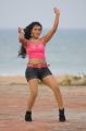 Hot Actress Risha in Lodukku Pandi Tamil Movie Stills