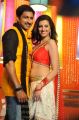 Gopichand, Hamsa Nandini in Loukyam Movie Song Stills