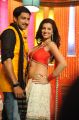 Gopichand, Hamsa Nandini in Loukyam Movie Song Stills