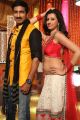 Gopichand, Hamsa Nandini in Loukyam Movie Item Song Stills