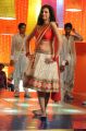 Actress Hamsa Nandini in Loukyam Movie Item Song Stills