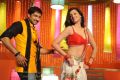 Gopichand, Hamsa Nandini in Loukyam Movie Item Song Stills