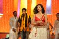 Gopichand, Hamsa Nandini in Loukyam Movie Item Song Stills