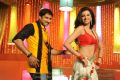 Gopichand, Hamsa Nandini in Loukyam Movie Item Song Stills