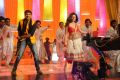 Gopichand, Hamsa Nandini in Loukyam Movie Item Song Stills