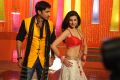 Gopichand, Hamsa Nandini in Loukyam Movie Item Song Stills