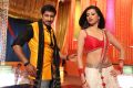 Gopichand, Hamsa Nandini in Loukyam Movie Item Song Stills