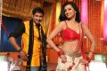 Gopichand, Hamsa Nandini in Loukyam Movie Item Song Stills