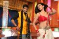 Gopichand, Hamsa Nandini in Loukyam Movie Item Song Stills