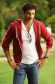 Actor Gopichand in Loukyam Telugu Movie Stills