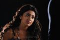 Cute Shriya in Love 2 Love Movie Stills