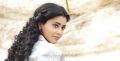 Actress Shriya Saran in Love 2 Love Movie Stills