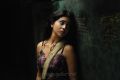 Actress Shriya Saran in Love 2 Love Movie Stills