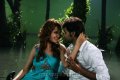 Jai Shazahn Padamsee in Love Journey Telugu Movie Stills