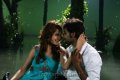 Jai Shazahn Padamsee in Love Journey Telugu Movie Stills