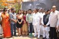 Love Language Telugu Movie Launch Stills