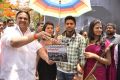 Love Language Telugu Movie Opening Photos