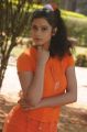 Actress Kashmira in Love Life Movie Hot Photos