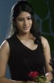 Actress Kashmira in Love Life Movie Photos