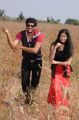 Dilip, Kashmira in Love Life Movie Photos