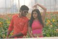 Dilip, Kashmira in Love Life Movie Photos