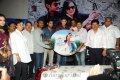 Lovely Audio Release Function Gallery