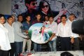 Lovely Audio Release Stills