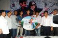 Lovely Audio Release Function Gallery