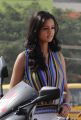 Lovely Movie Heroine Shanvi Photos
