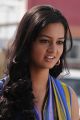 Shanvi - Lovely Movie Heroine Pics