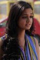 'Lovely' Heroine Shanvi Cute Pics
