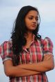 Lovely Movie Heroine Shanvi Photos