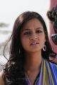 Shanvi - Lovely Movie Heroine Images