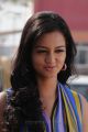 Lovely Actress Shanvi Latest Stills