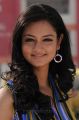 Shanvi - Lovely Movie Heroine Images