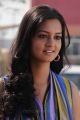 Shanvi - Lovely Movie Heroine Images