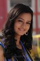 Shanvi - Lovely Movie Heroine Images