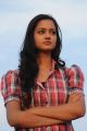 Lovely Movie Heroine Shanvi Photos