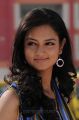 Shanvi - Lovely Movie Heroine Pics