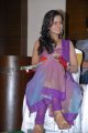 Actress Shanvi at Lovely Triple Platinum Disc Function Stills