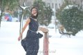 Lovely Movie Heoine Shanvi Stills