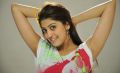 Actress Pranitha in Lover Boy Clever Ammayi Telugu Movie Stills
