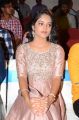 Actress Riddhi Kumar @ Lover Movie Audio Launch Stills